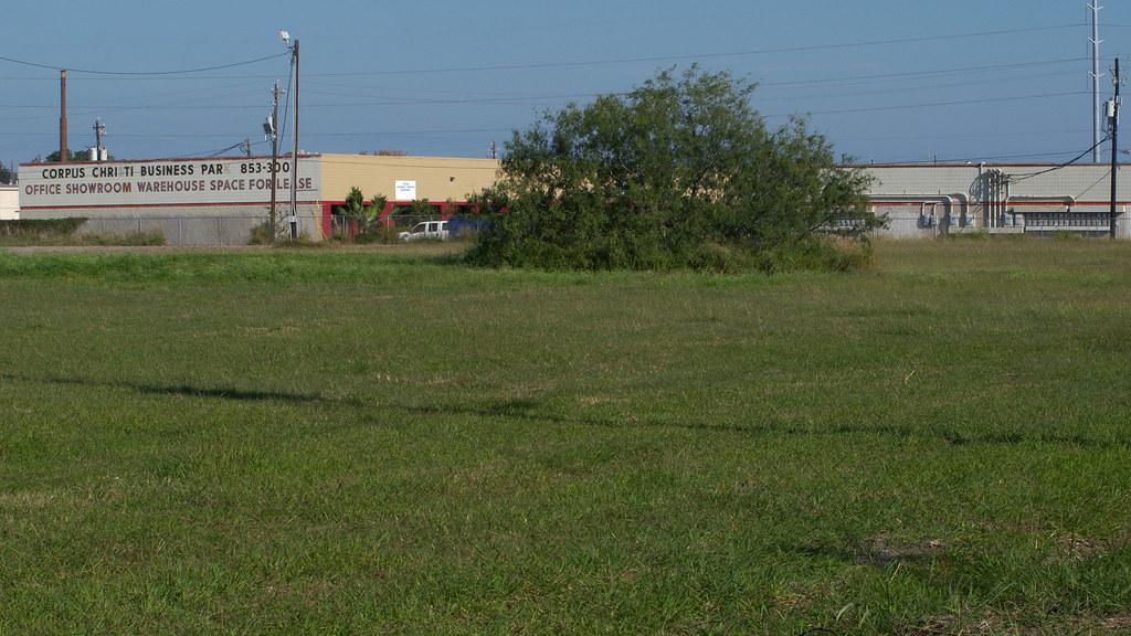 Corpus Christi Job Market: What Drives Employment Trends Locally